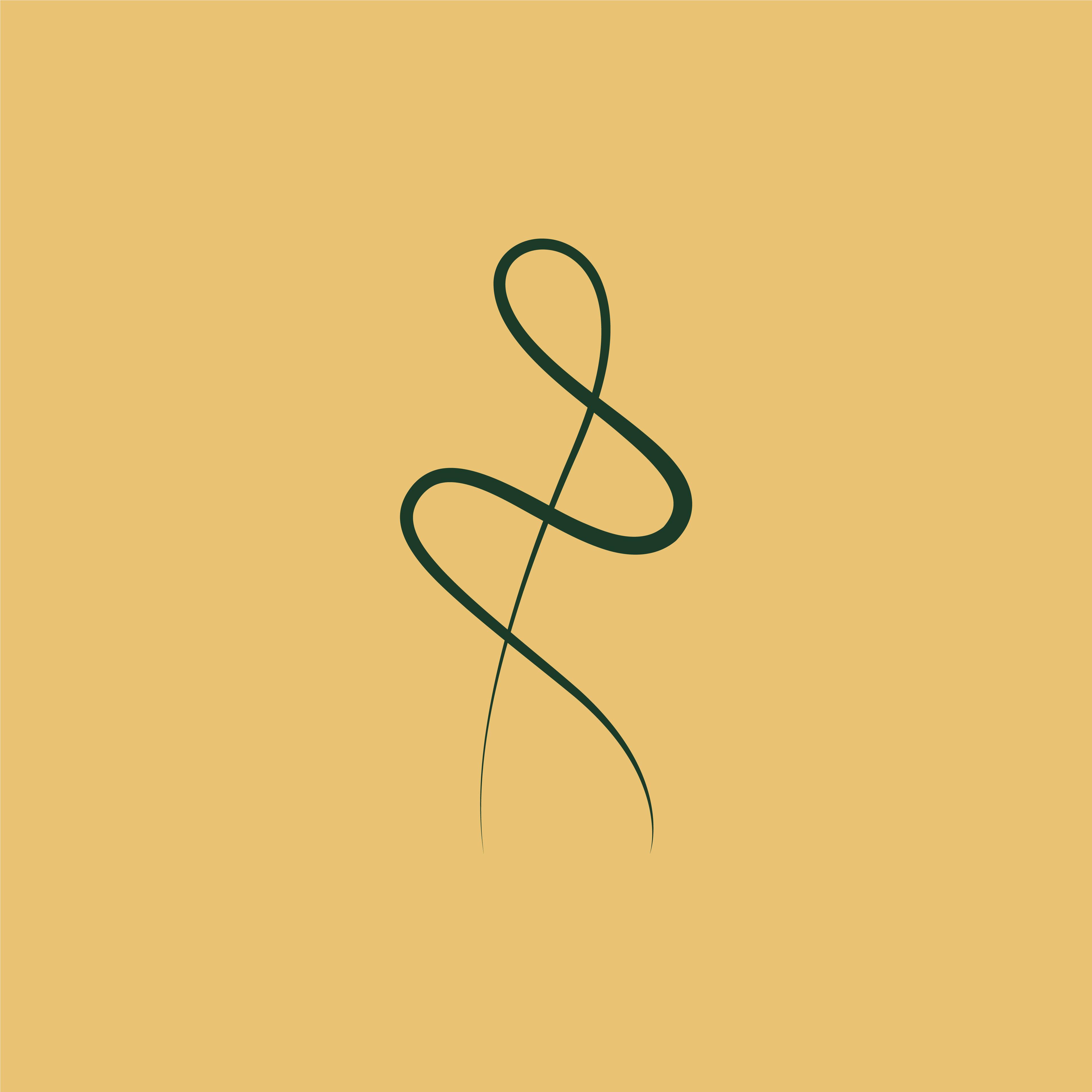 STRØM MAT & BAR — Brand Identity · Logo Design by Overlay Studios — visual 3