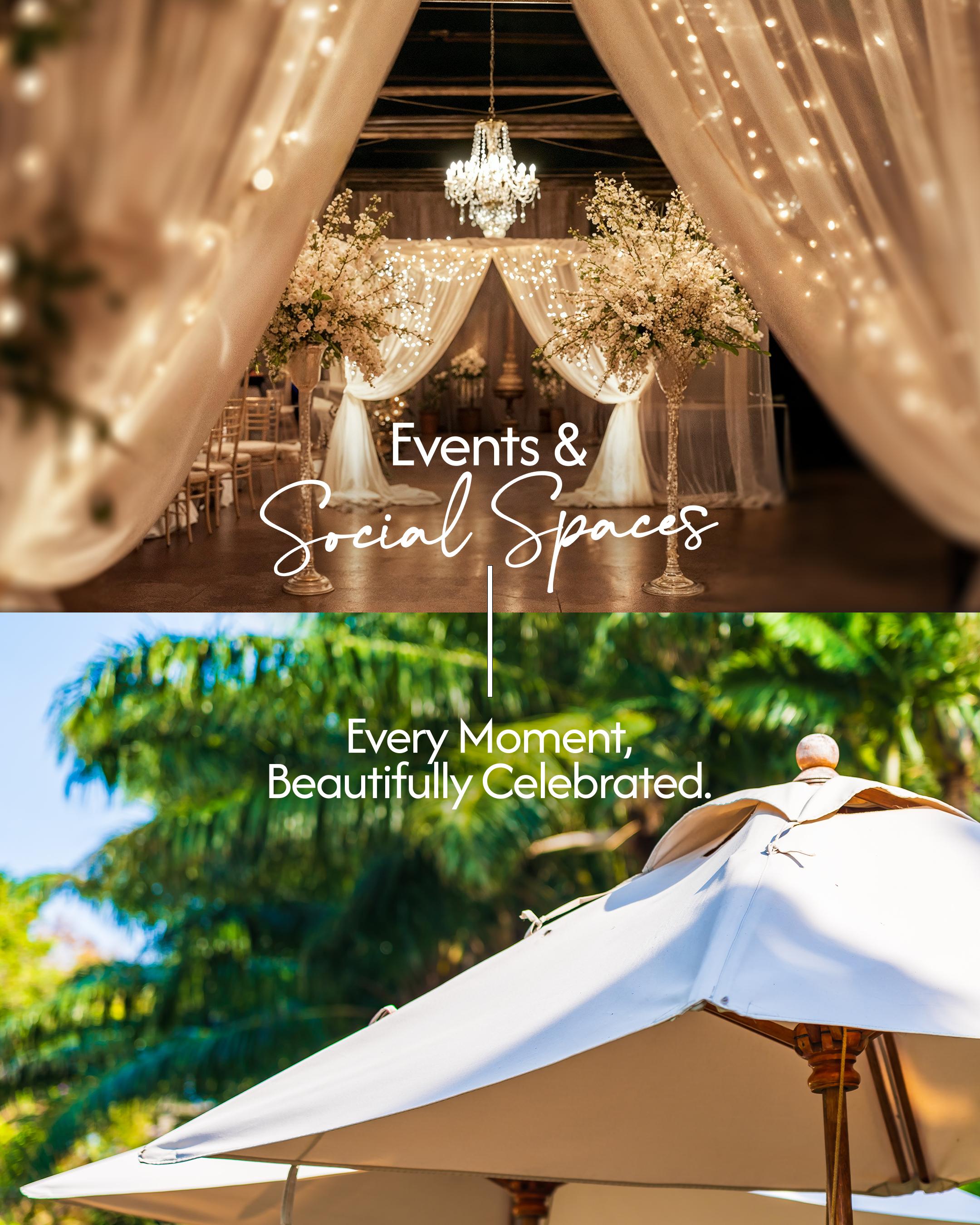 ORCHARD CLUB — Campaign Strategy · Creative Direction by Overlay Studios — visual 16