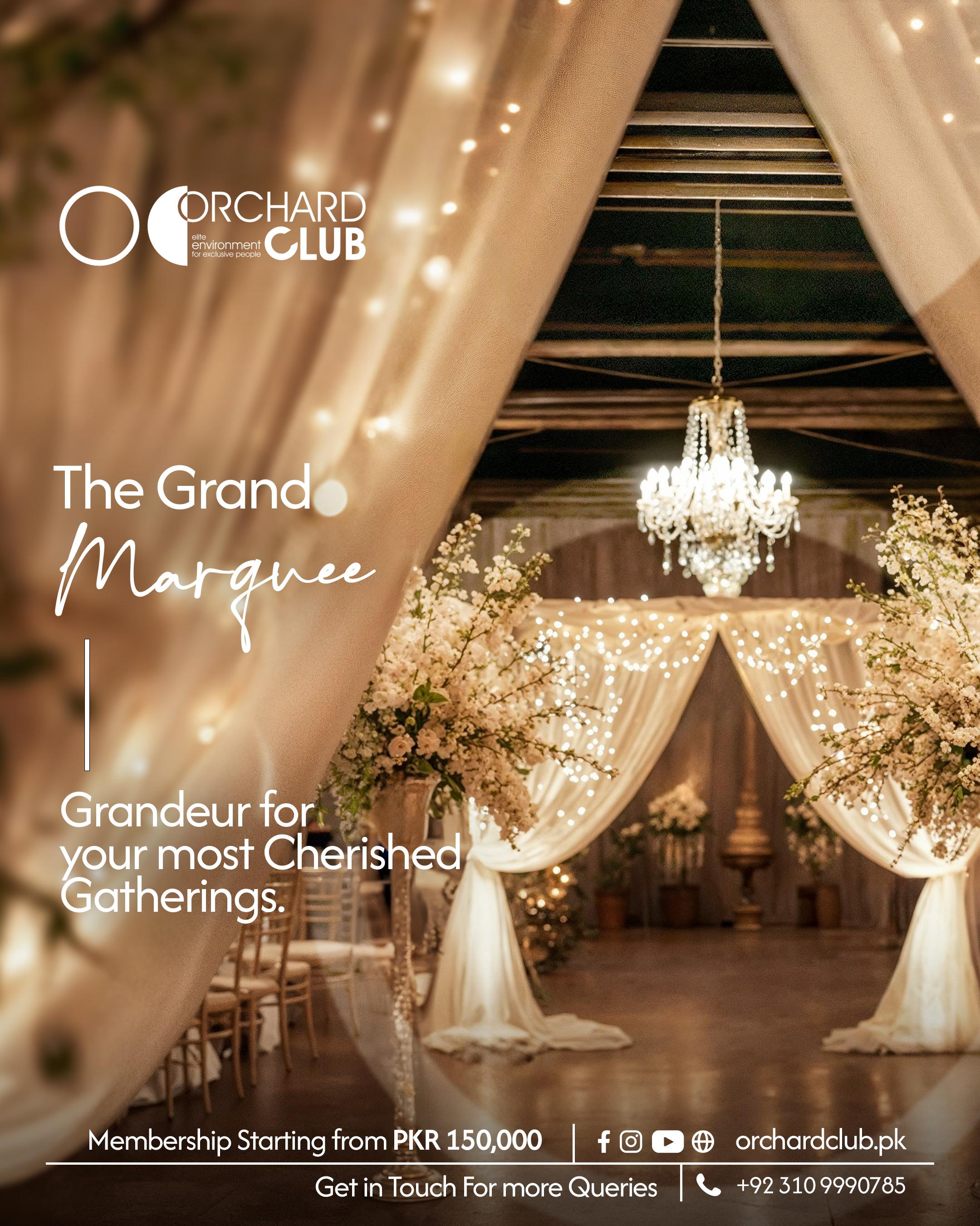 ORCHARD CLUB — Campaign Strategy · Creative Direction by Overlay Studios — visual 18