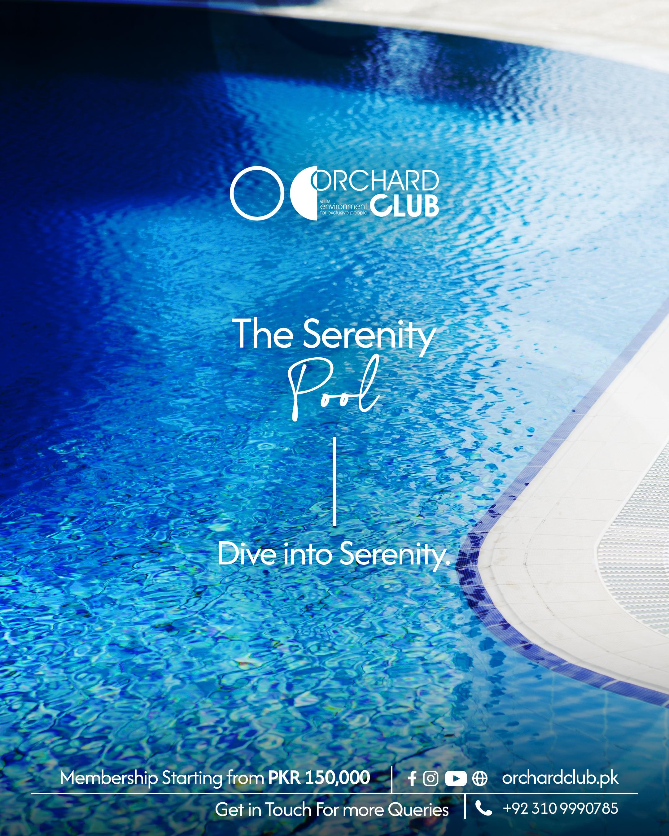 ORCHARD CLUB — Campaign Strategy · Creative Direction by Overlay Studios — visual 6