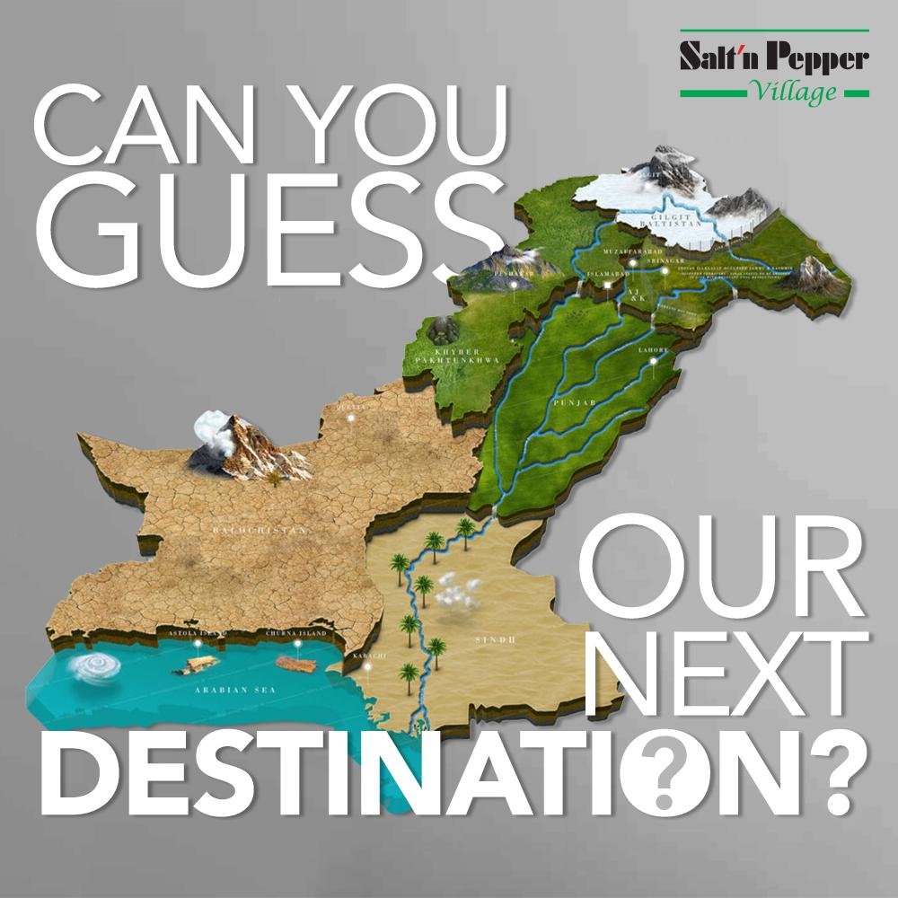 SALT'N PEPPER — Campaign Strategy · Social & Content by Overlay Studios — visual 12