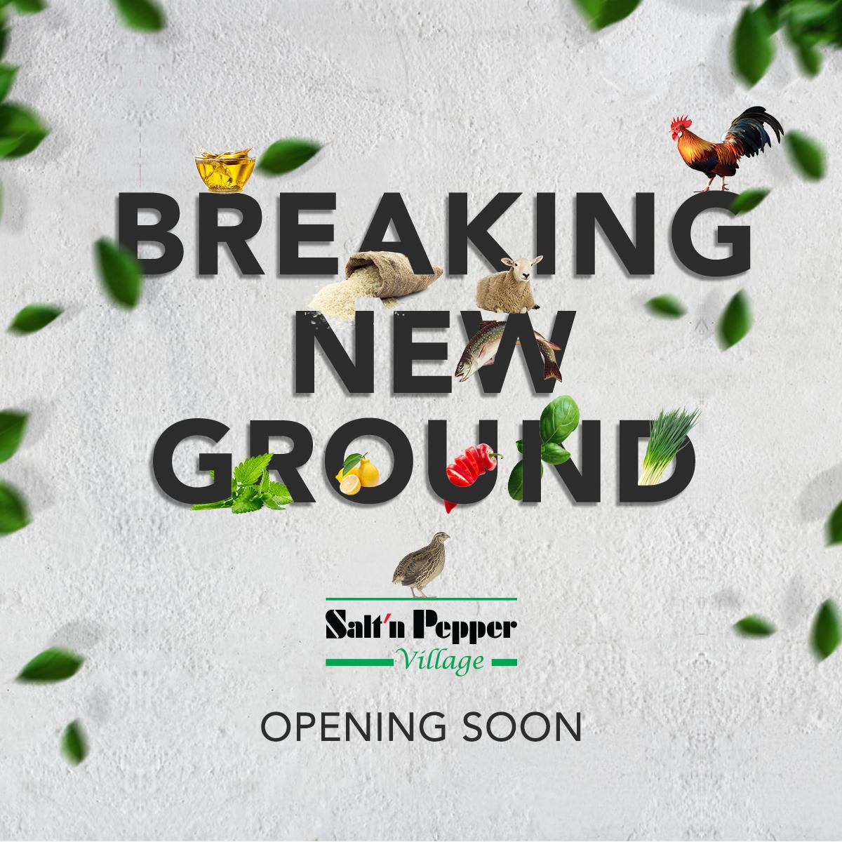 SALT'N PEPPER — Campaign Strategy · Social & Content by Overlay Studios — visual 4